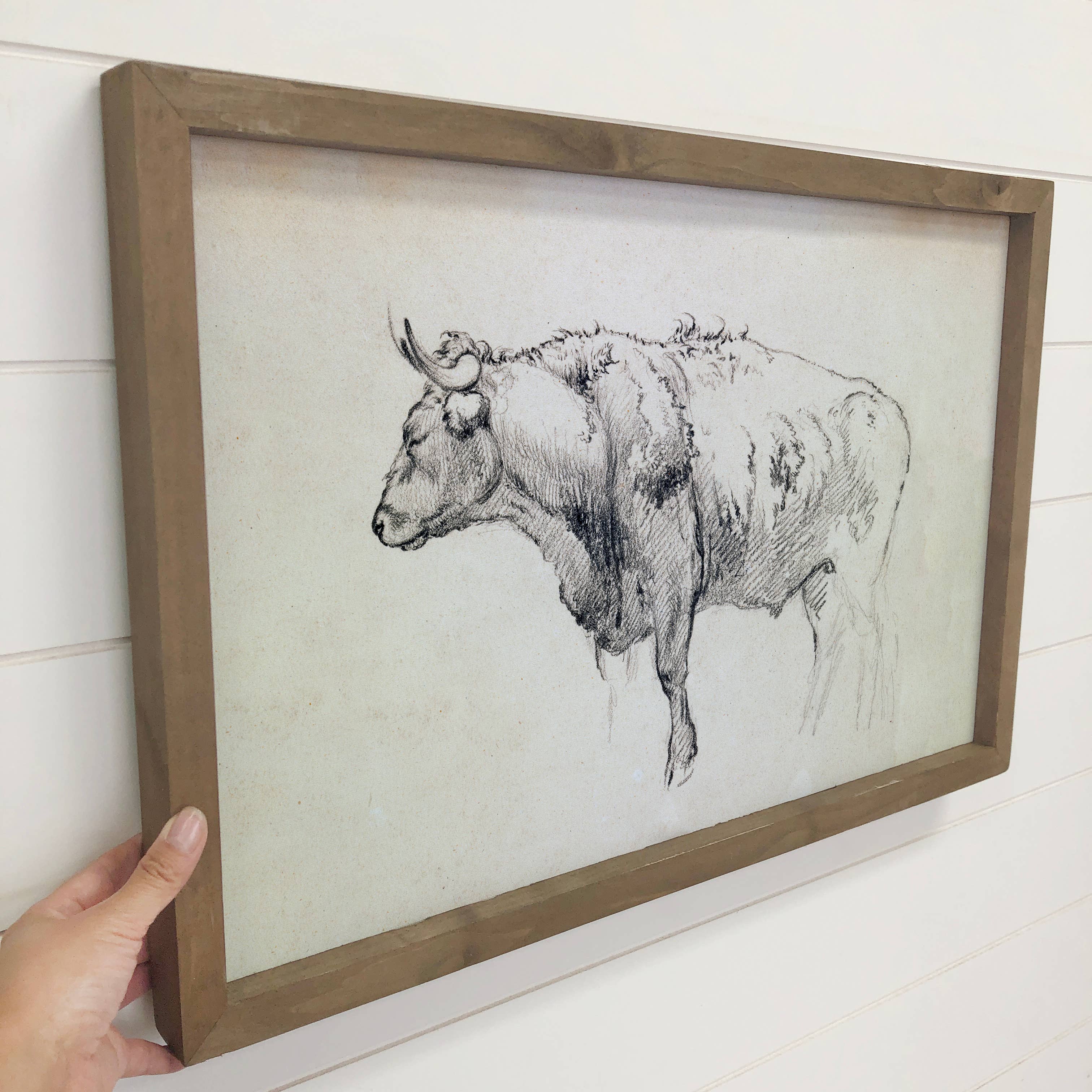 Bull Sketch - Ranch House Canvas Art - Wood Framed Bull Art