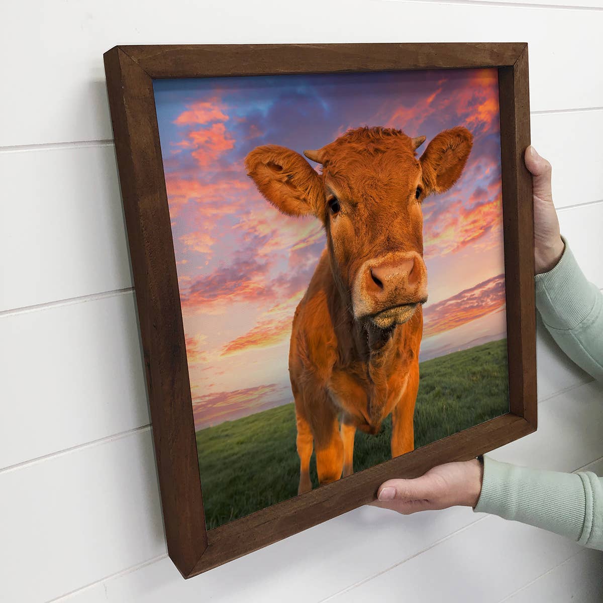 Cow at Sunset - Cute Cow Photo - Farmhouse Cow Art