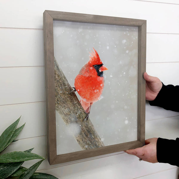 Cardinal in Snow - Framed Animal Photograph - Wildlife Decor