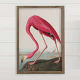 Audubon Pink Flamingo - Lake House Wall Decor - Canvas Art