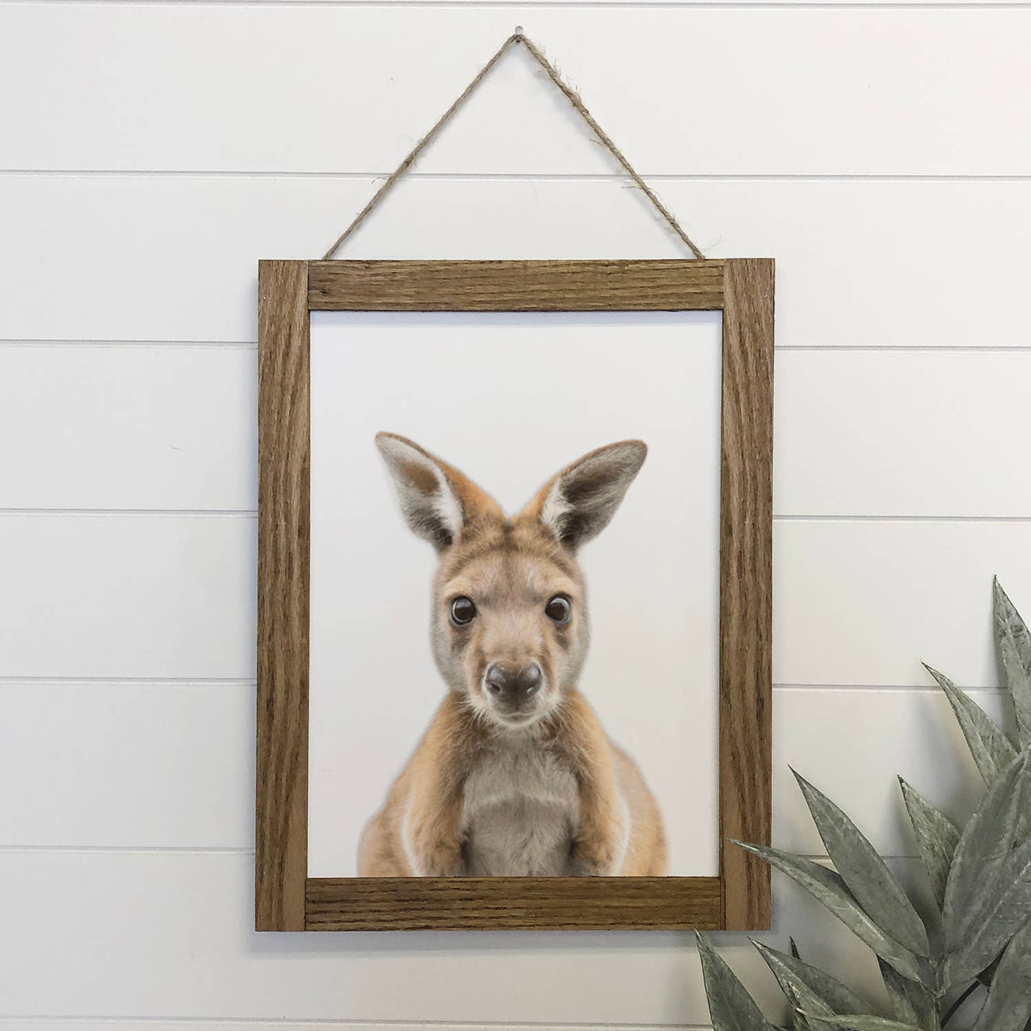 Cute Baby Kangaroo Joey Wood Sign Animal Wall Art