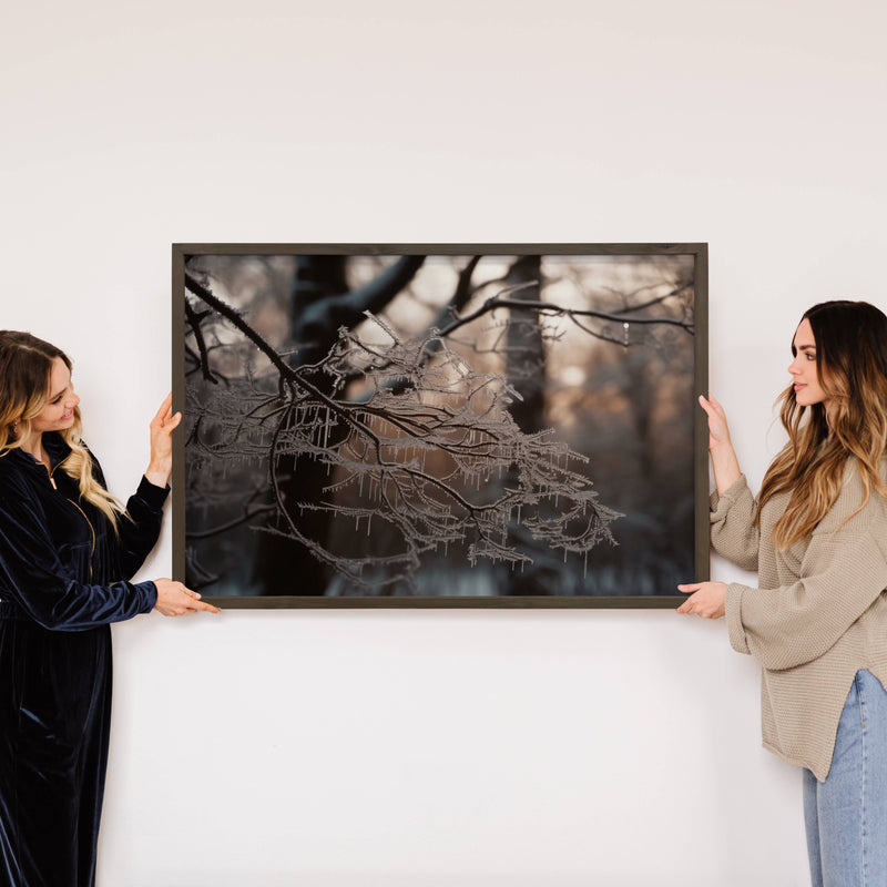 Frosty Tree Branch - Winter Season Photography - Nature Art