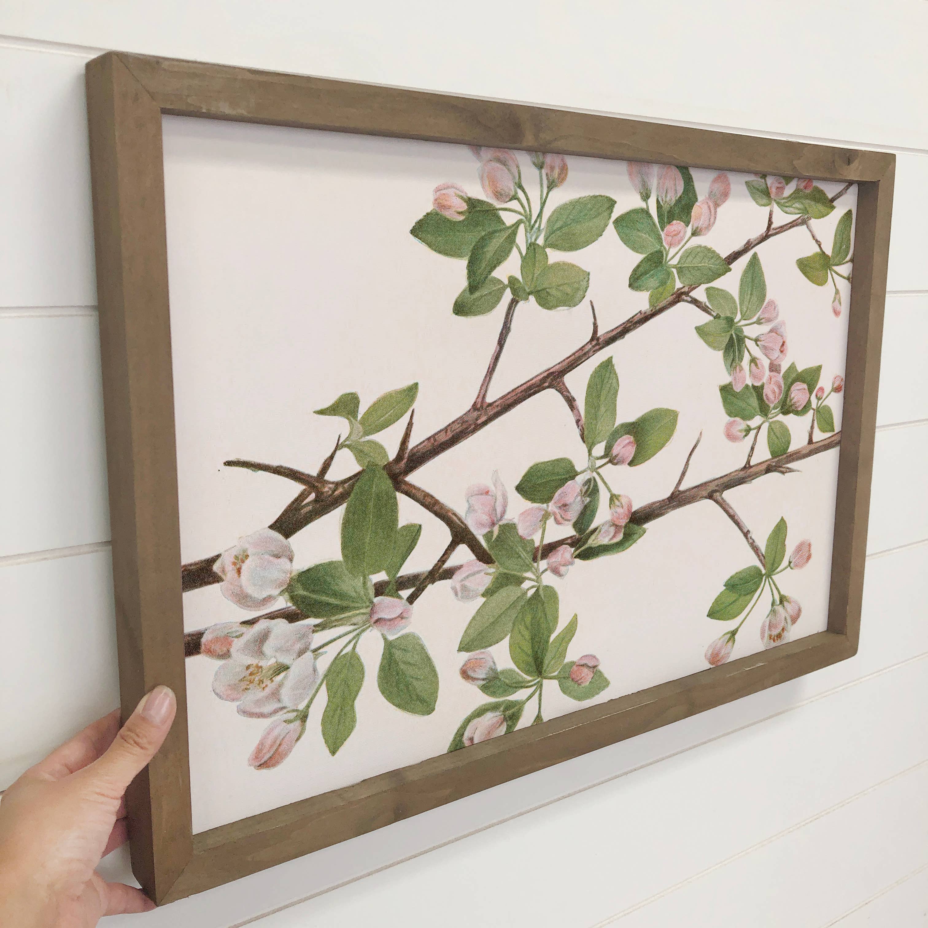 Crabapple Blossoms - Flower Tree Canvas Art - Wood Framed