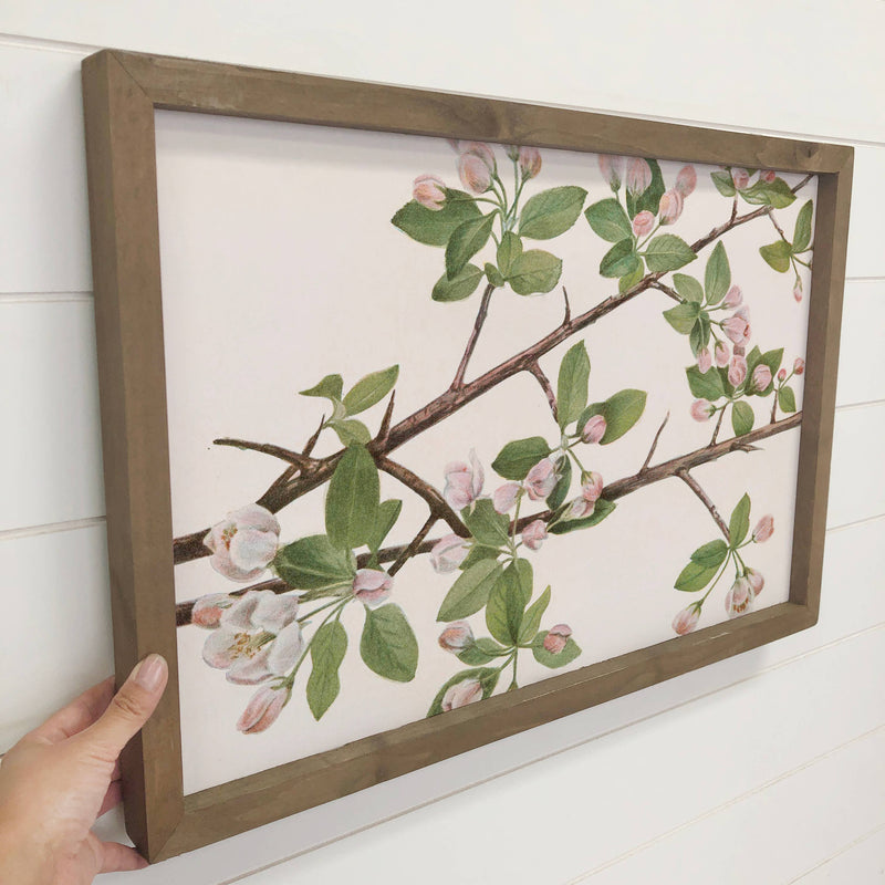 Crabapple Blossoms - Flower Tree Canvas Art - Wood Framed