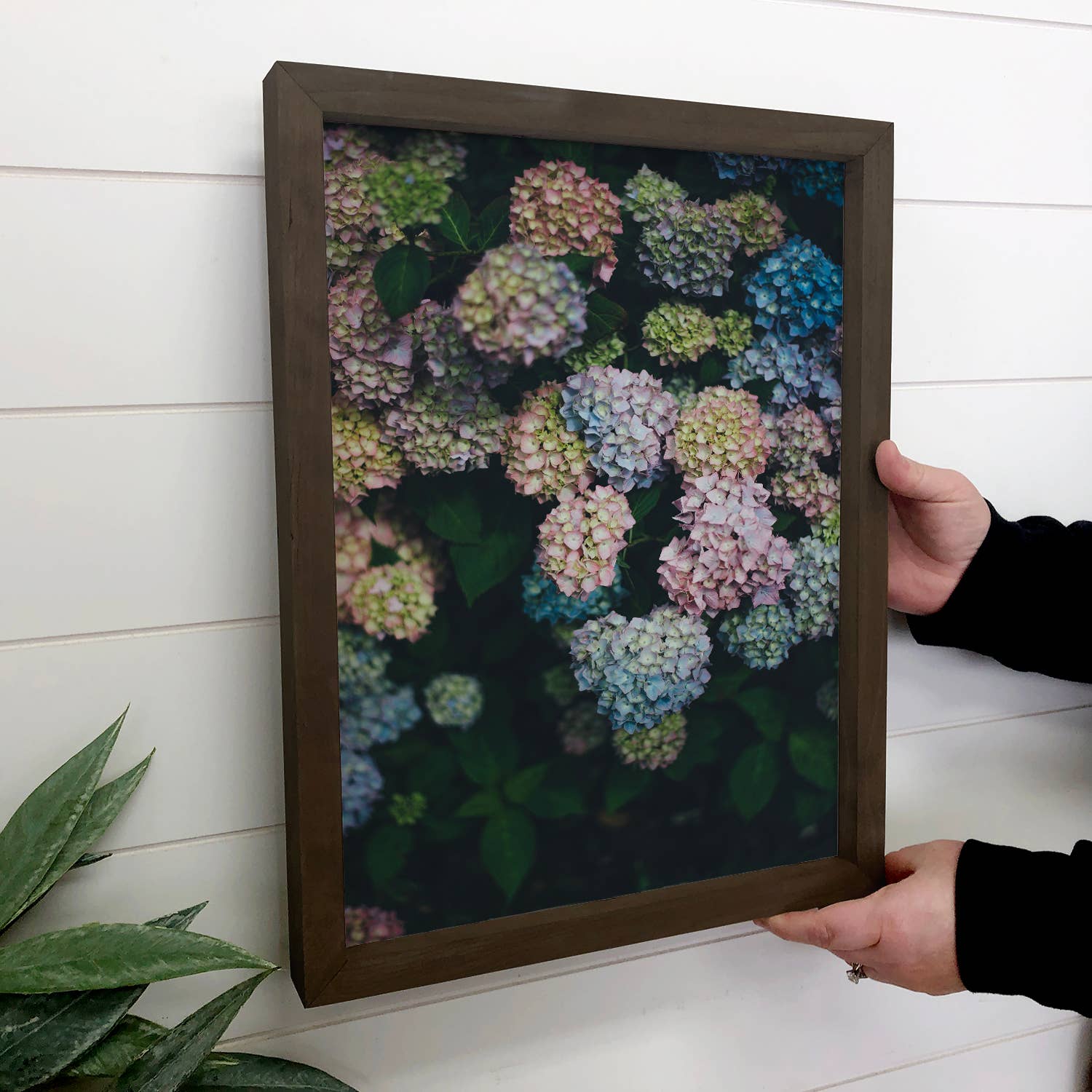 Midnight Hydrangeas Wall Art - Floral Photograph - Framed