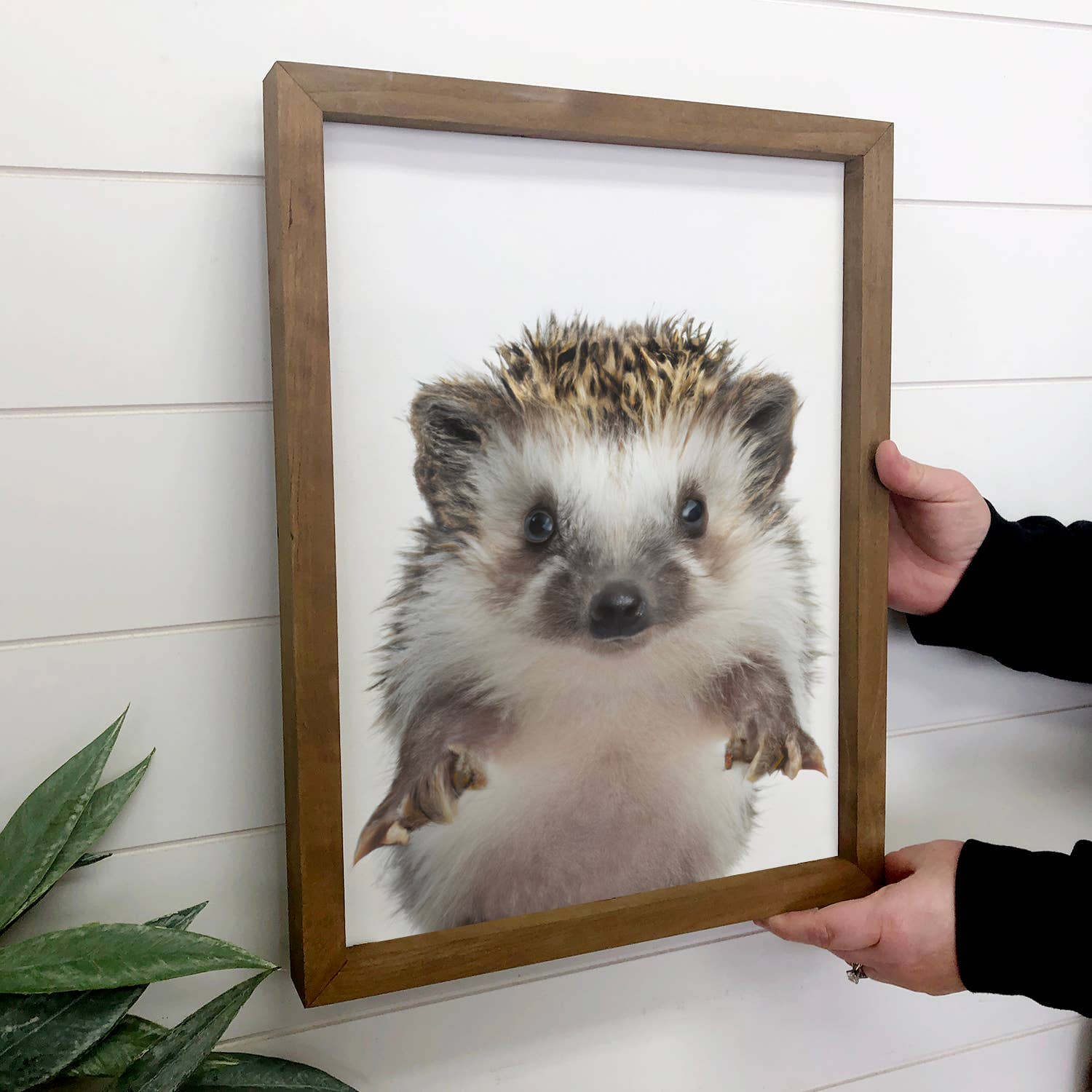 Baby Hedgehog Wood Sign Cute Animal Wall Art