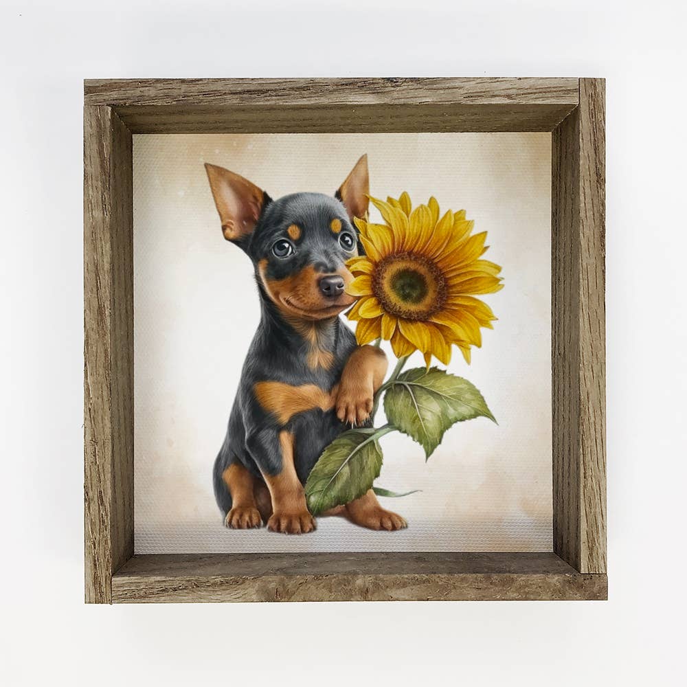 Sunflower Mini Pinscher - Cute Puppy and Flowers - Fall Art