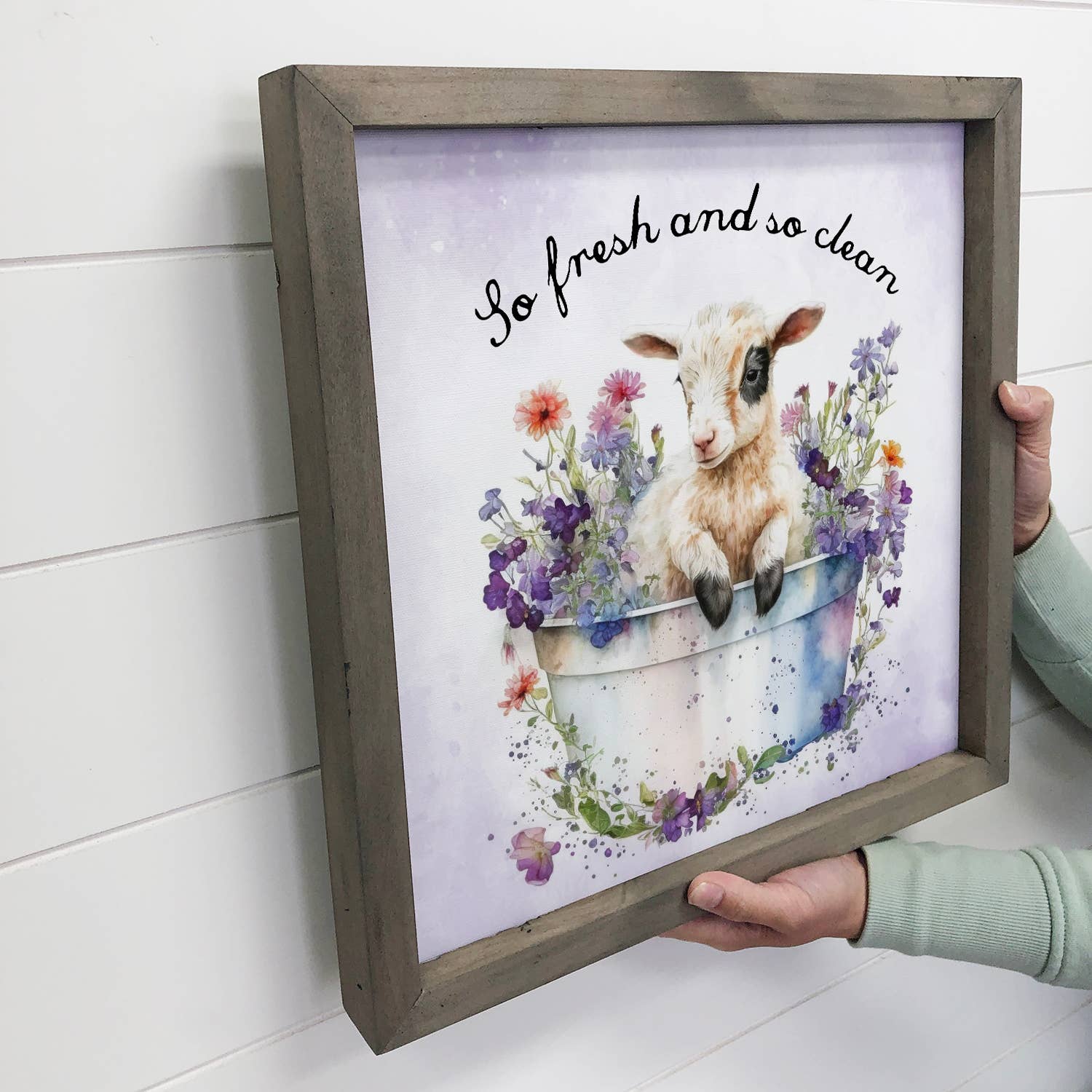 So Fresh & Clean Goat Bath - Cute Animal Canvas Wall Art