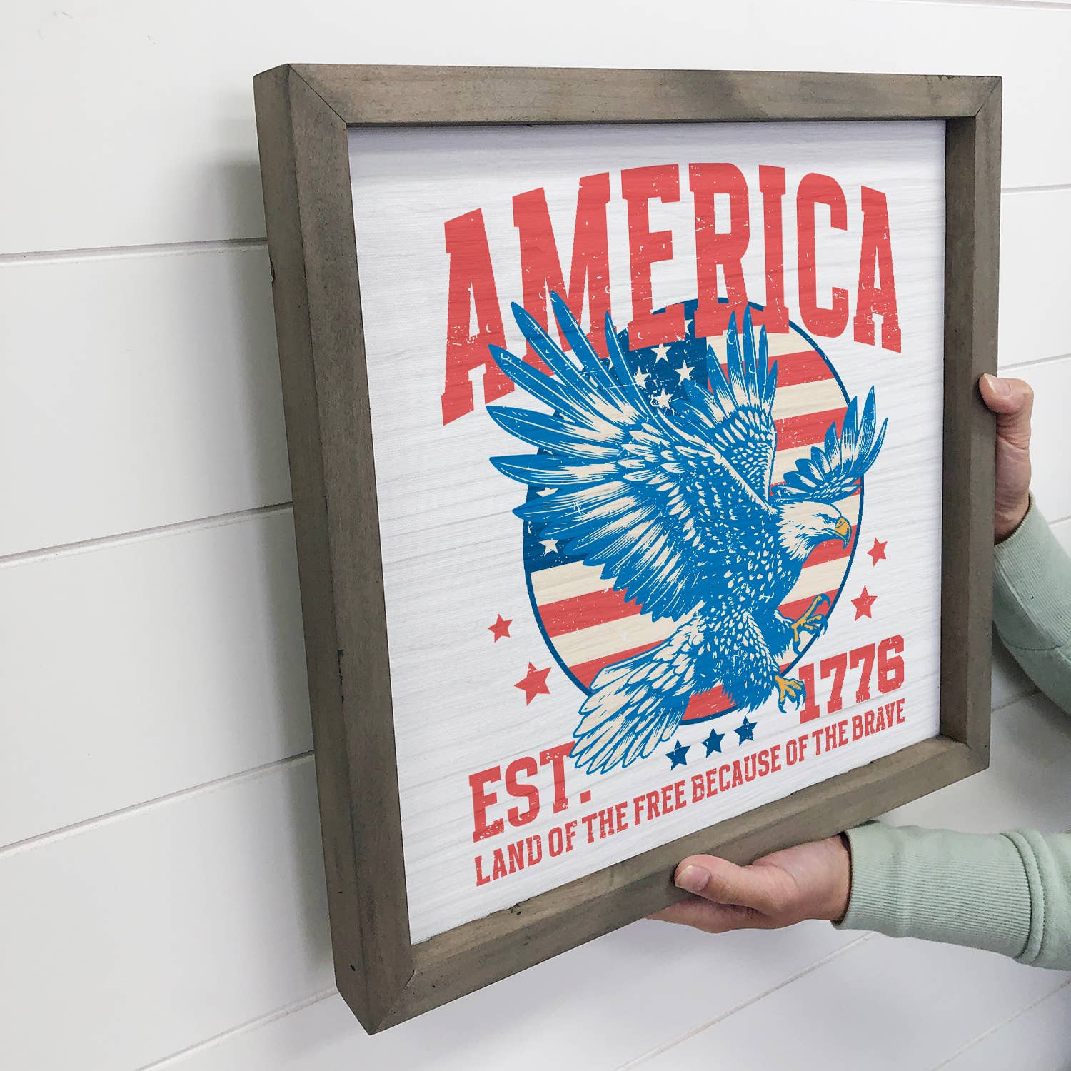 American Eagle Land of the Free - America Canvas Art - Frame