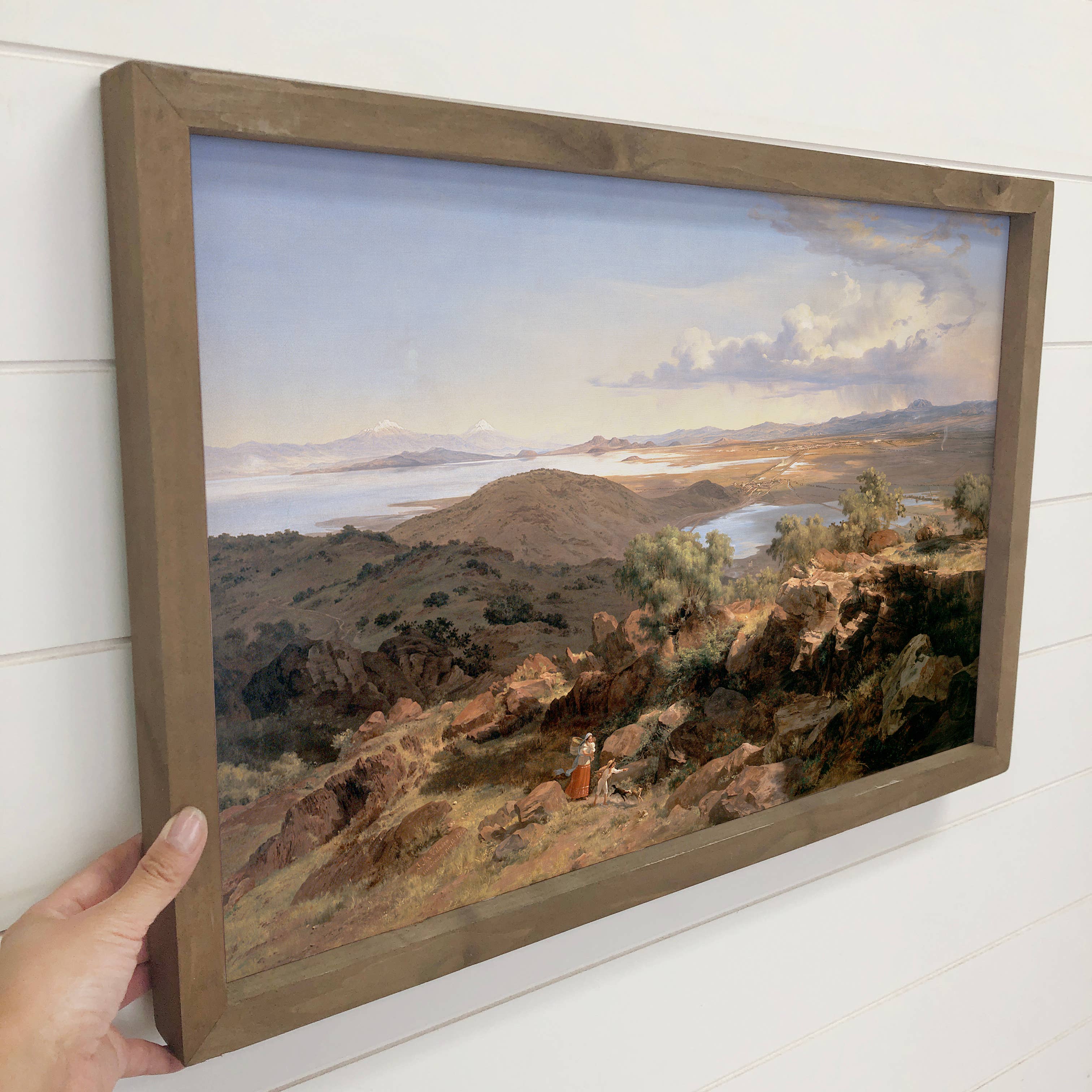 Valley of Mexico - Nature Canvas Art - Framed Desert Art