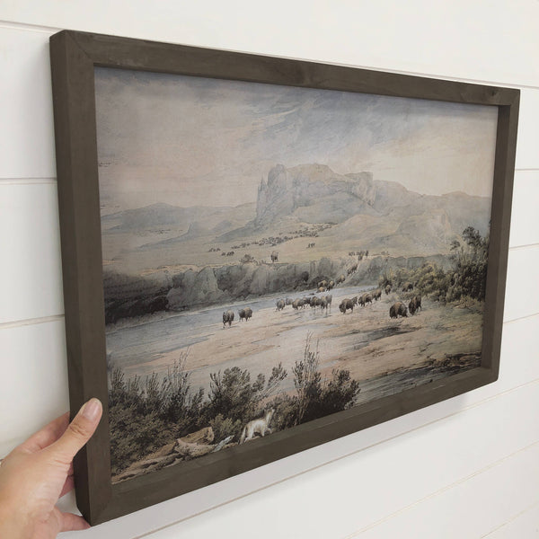 Herd of Buffalo Canvas Art - Framed Nature Decor - Ranch Art