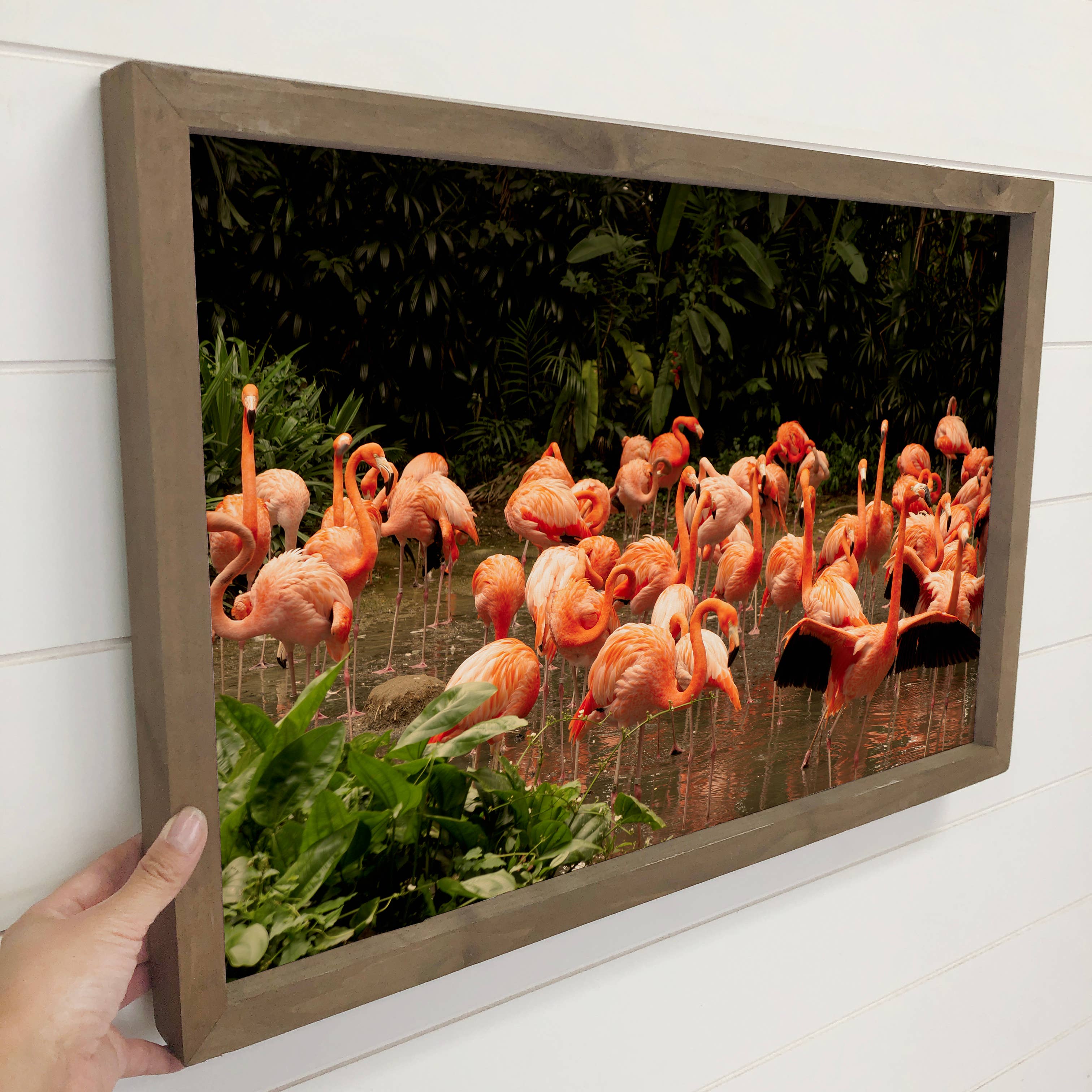 Flamingo Group - Bird Canvas Art - Wood Framed Wall Art