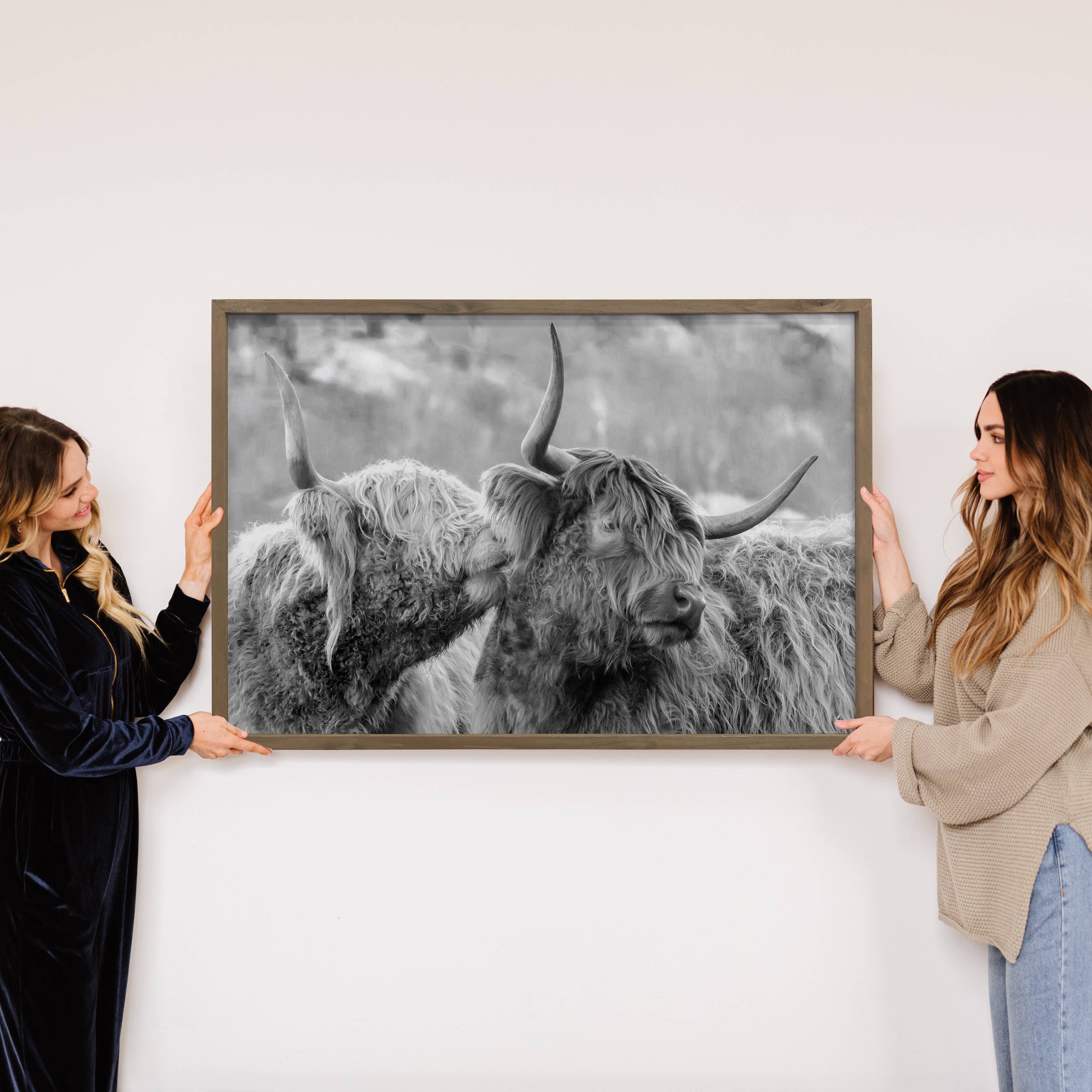 Highland Cows Kissing - Animal Photograph - Wood Framed Art