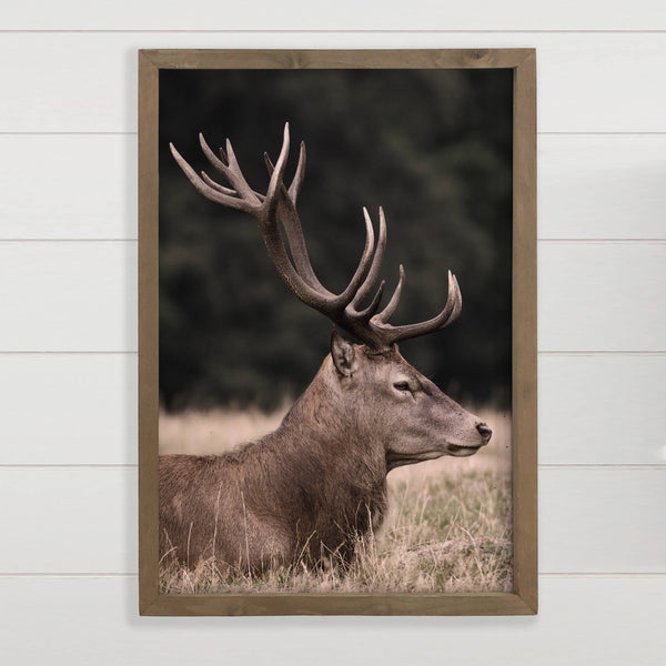 Deer in the Grass - Wildlife Photography - Wood Framed Decor