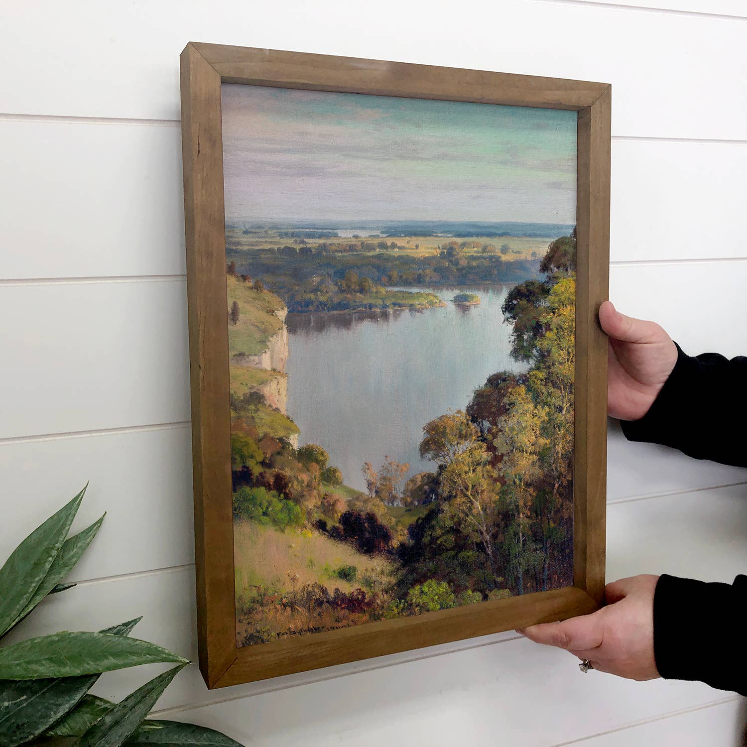 View of the Mississippi River - Nature Canvas Art - Framed