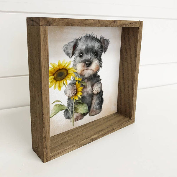 Sunflower Mini Schnauzer - Cute Puppy and Flowers - Fall Art