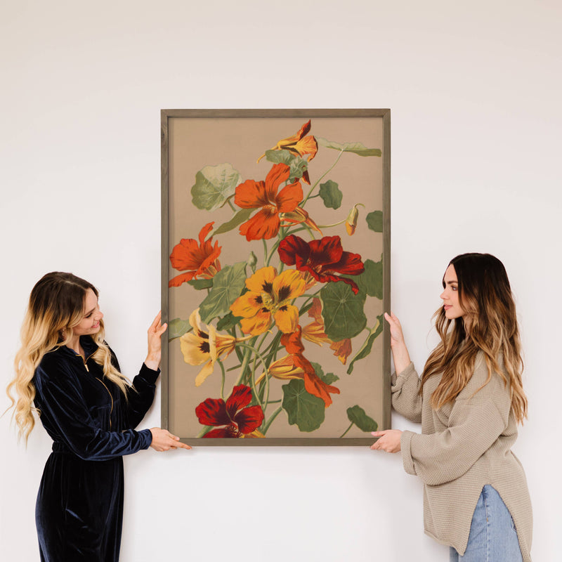 Nasturtiums Botanical - Flower Canvas Art - Wood Framed Art