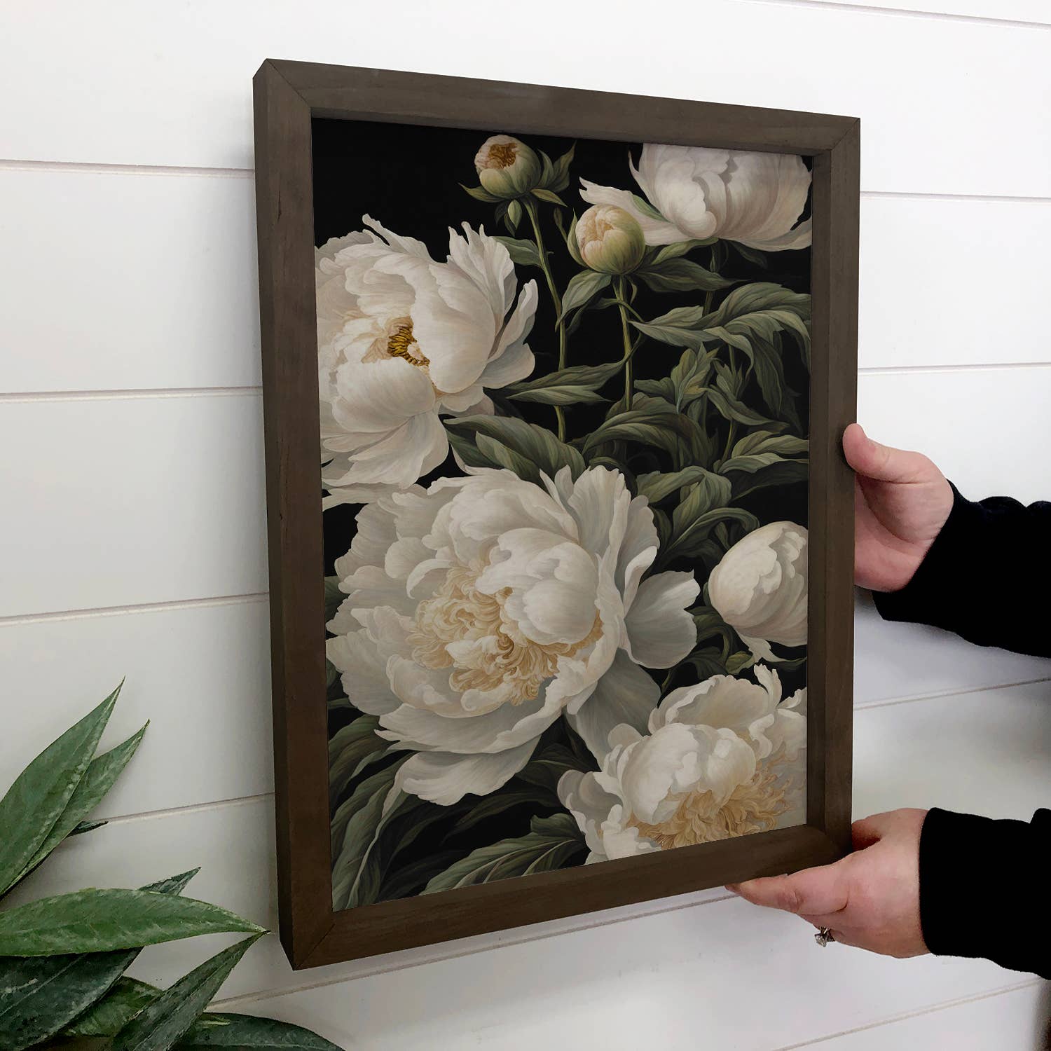 White Peony Black Background - Floral Canvas Art - Farmhouse