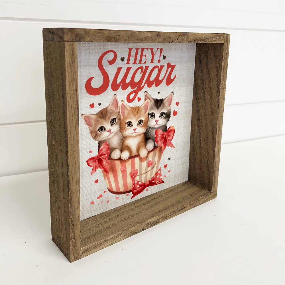 Vintage Valentines Hey Sugar Cats - Valentines Day Canvas