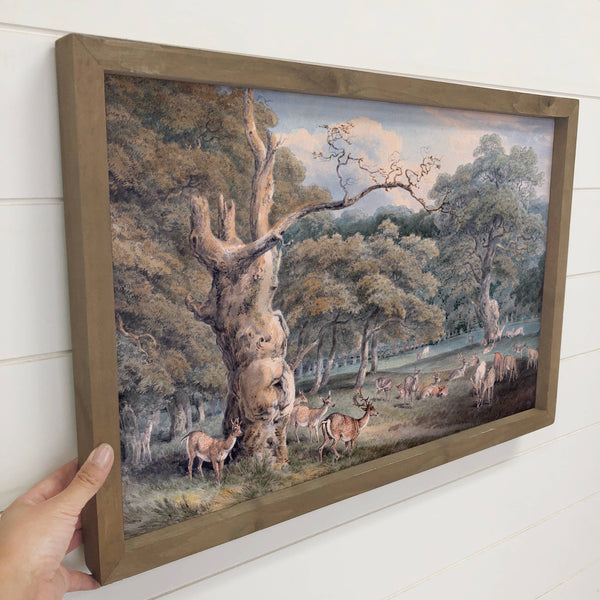 Windsor Forest - Forest Landscape Canvas Art - Wood Framed