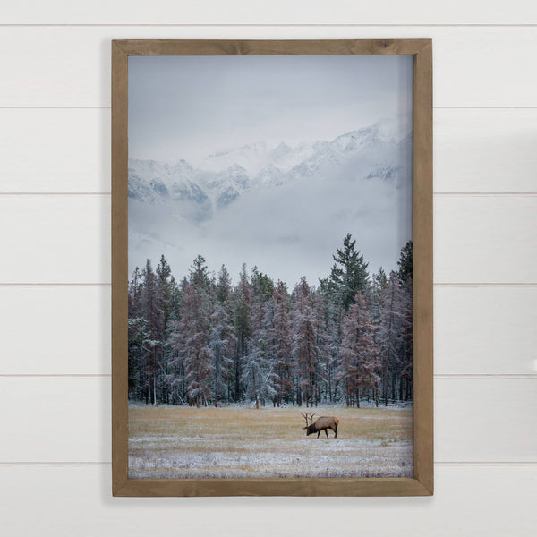 Winter Elk Scene - Wildlife Photograph Canvas Art - Framed