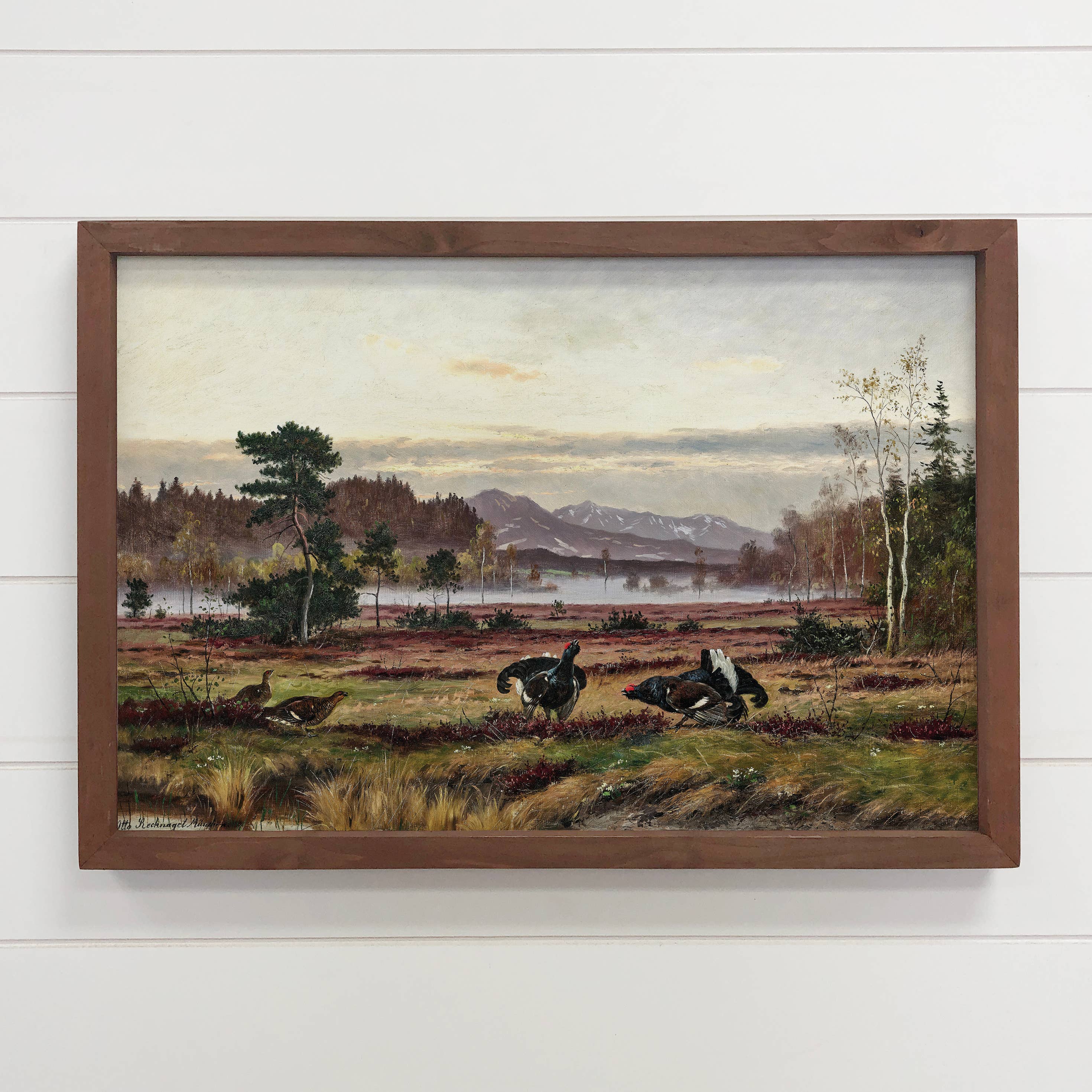 Black Grouse in the Wild - Bird Canvas Art - Wood Framed Art