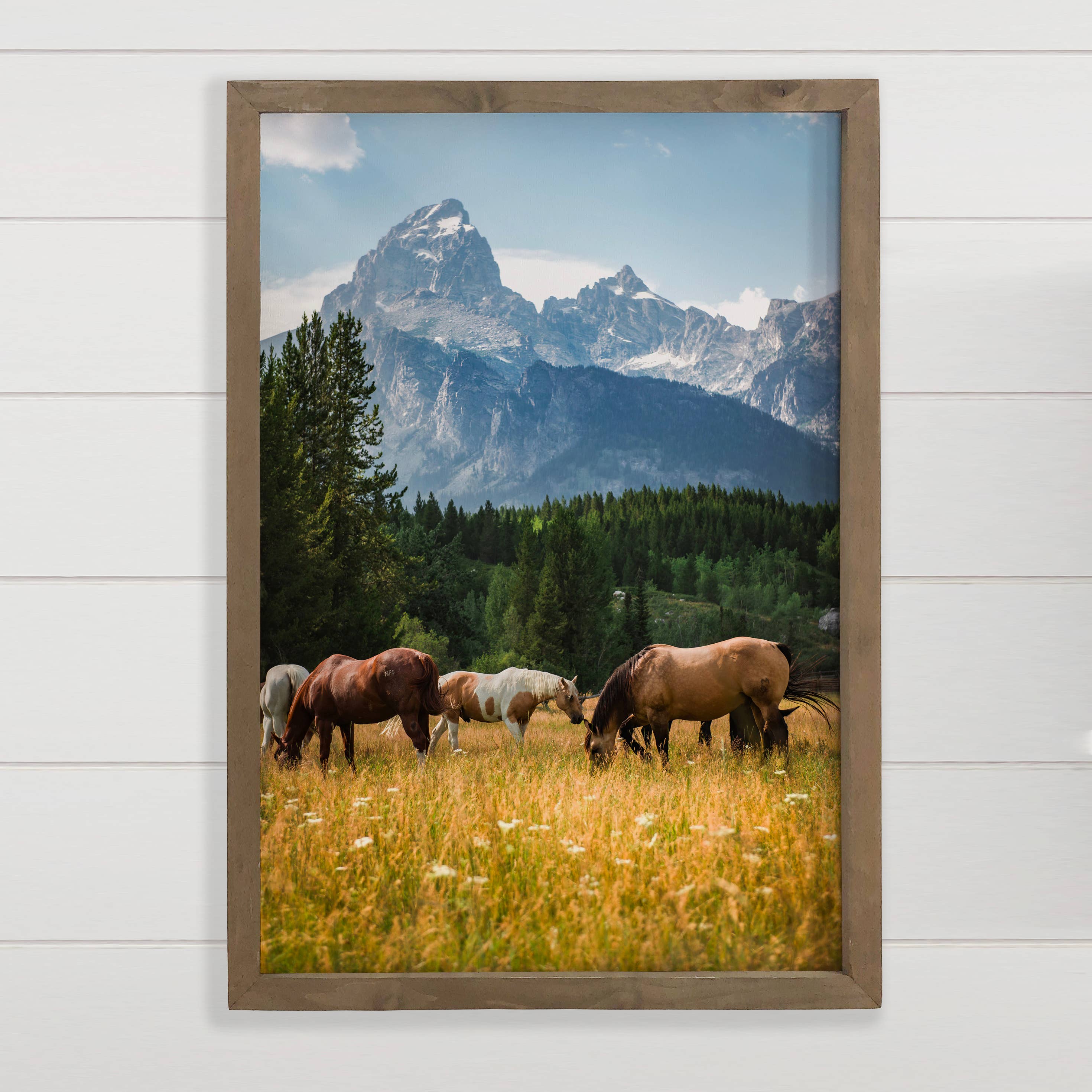 Horses at Tetons - Wildlife Photography - Wood Framed Decor