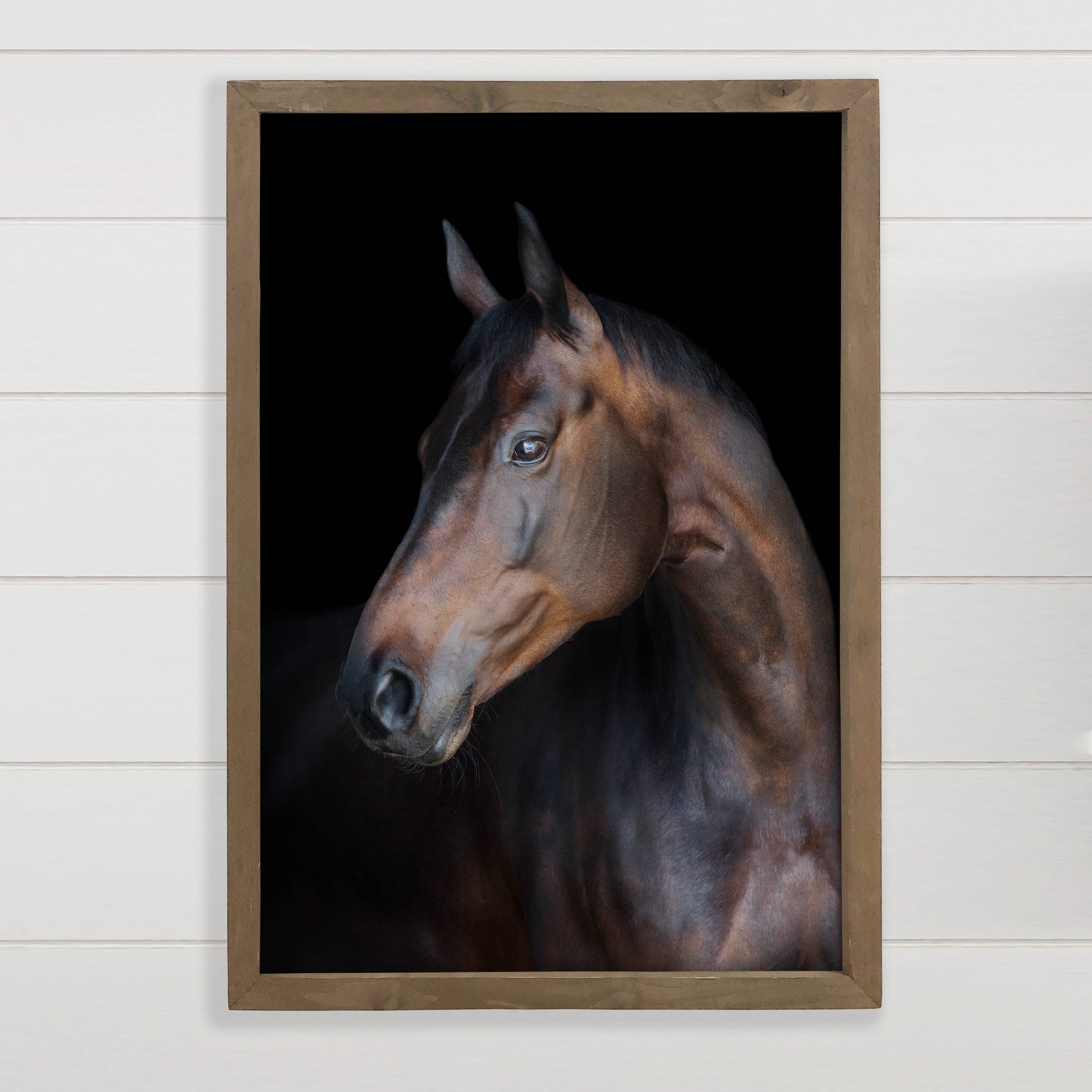 Horse Portrait - Framed Animal Photograph -Ranch House Decor