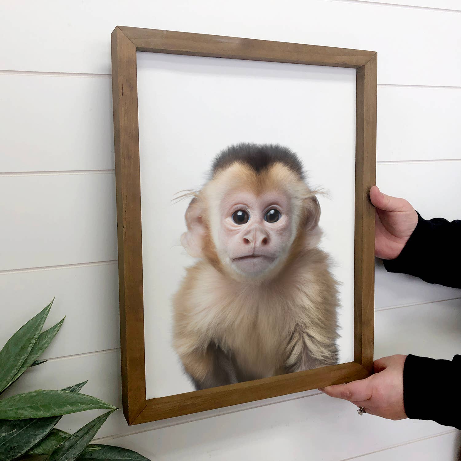 Cute Baby Monkey Framed Wall Art for Nursery or Kid's Room