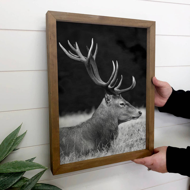 Elk Profile Black and White - Wildlife Photography - Framed