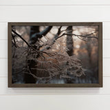 Frosty Tree Branch - Winter Season Photography - Nature Art