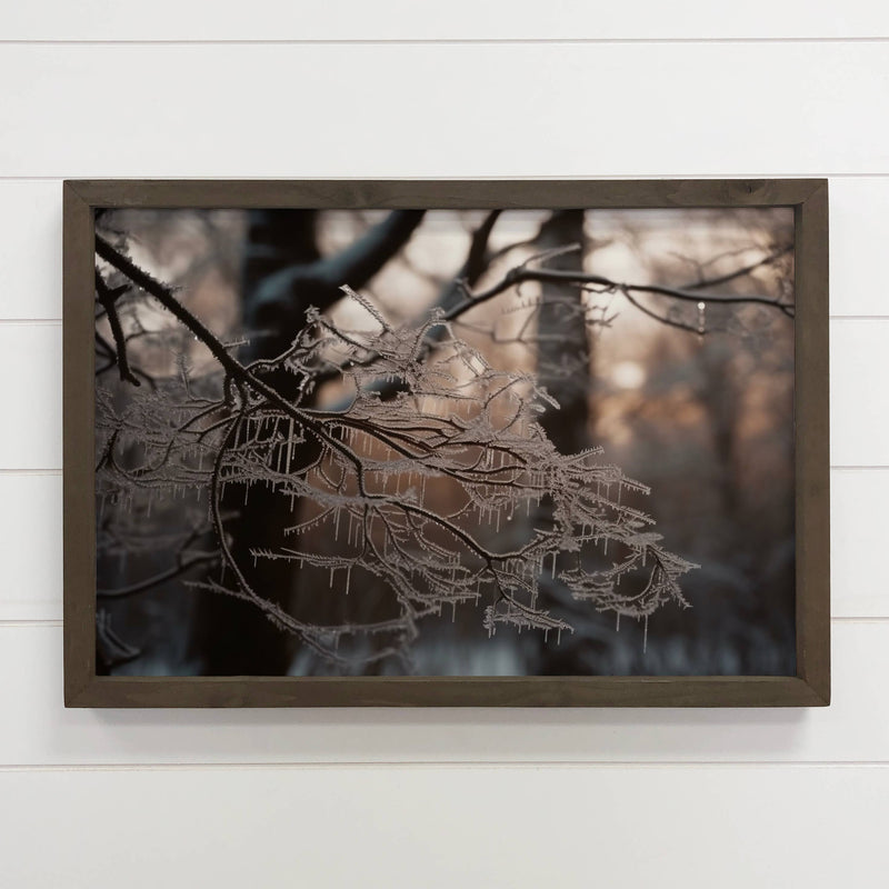 Frosty Tree Branch - Winter Season Photography - Nature Art