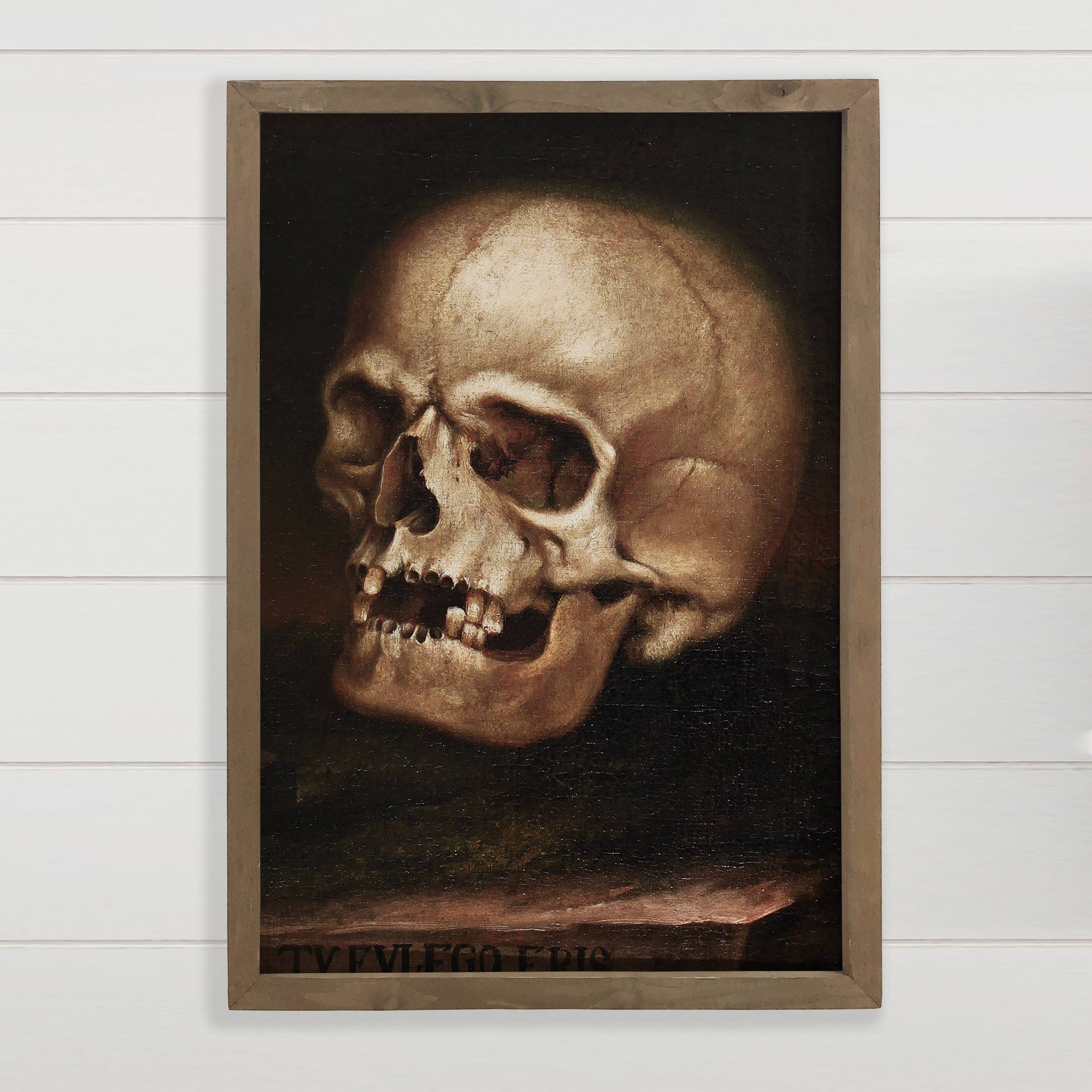 Vintage Skull Painting - Canvas Art with Wood Frame