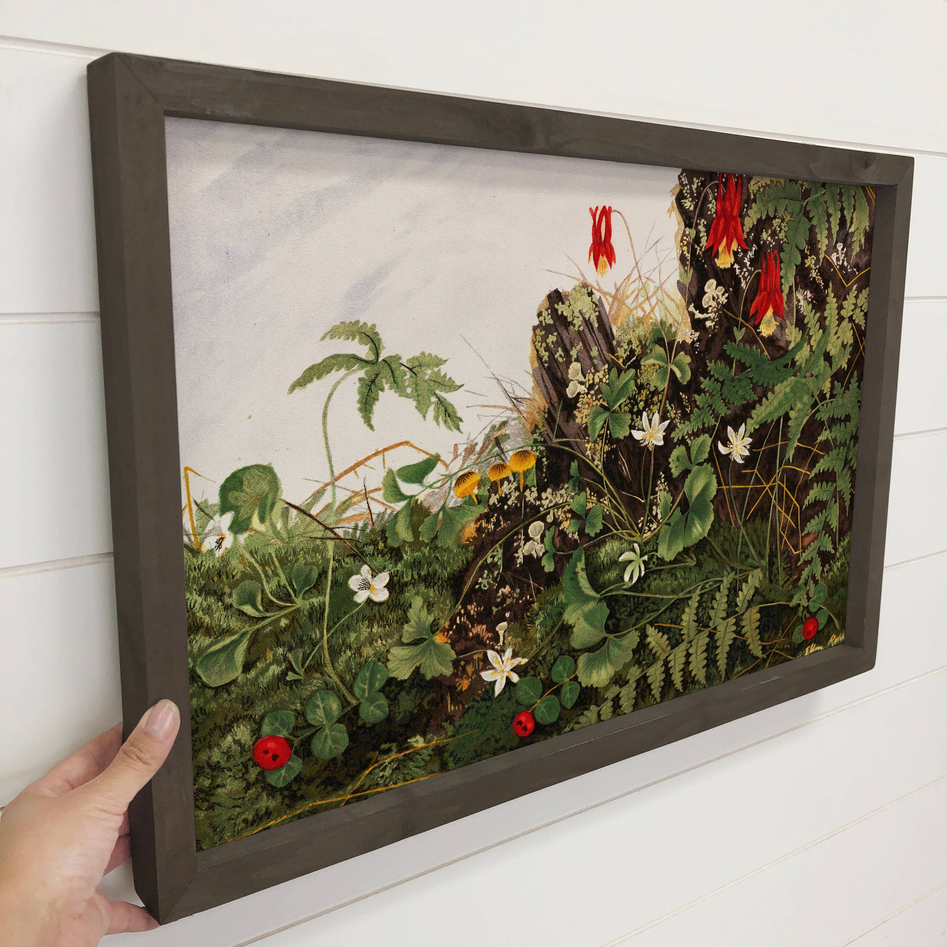 Vintage Wildflowers - Flower Canvas Art - Wood Framed