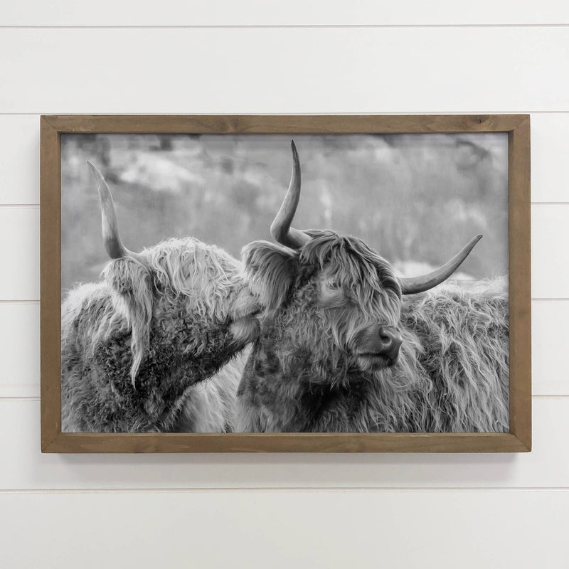 Highland Cows Kissing - Animal Photograph - Wood Framed Art