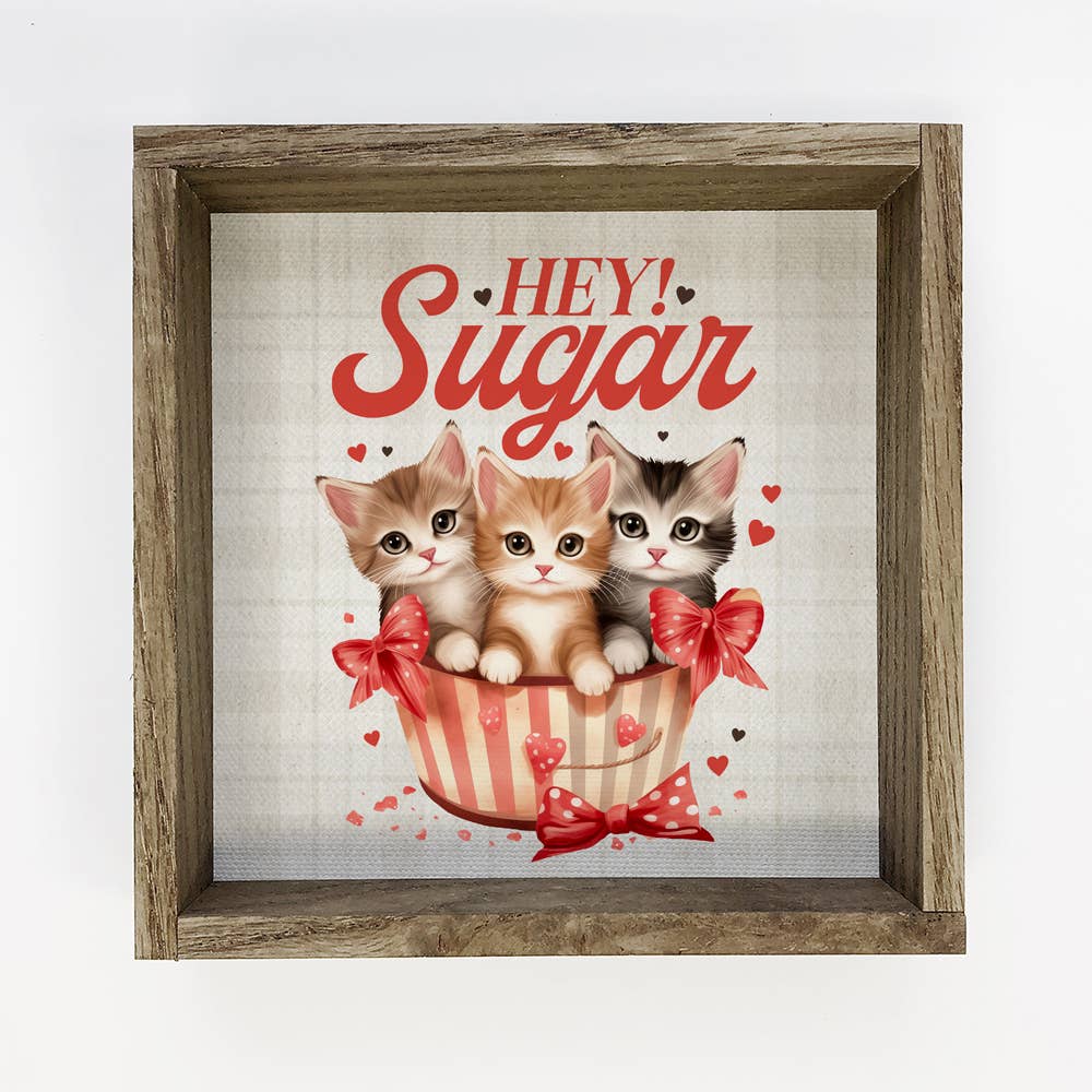 Vintage Valentines Hey Sugar Cats - Valentines Day Canvas