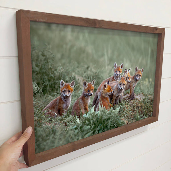 Baby Fox Pups - Wildlife Photography Canvas Art - Wood Frame