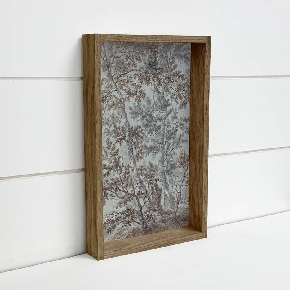 Birch Tree Study - Tree Canvas Wall Art - Wood Framed Art