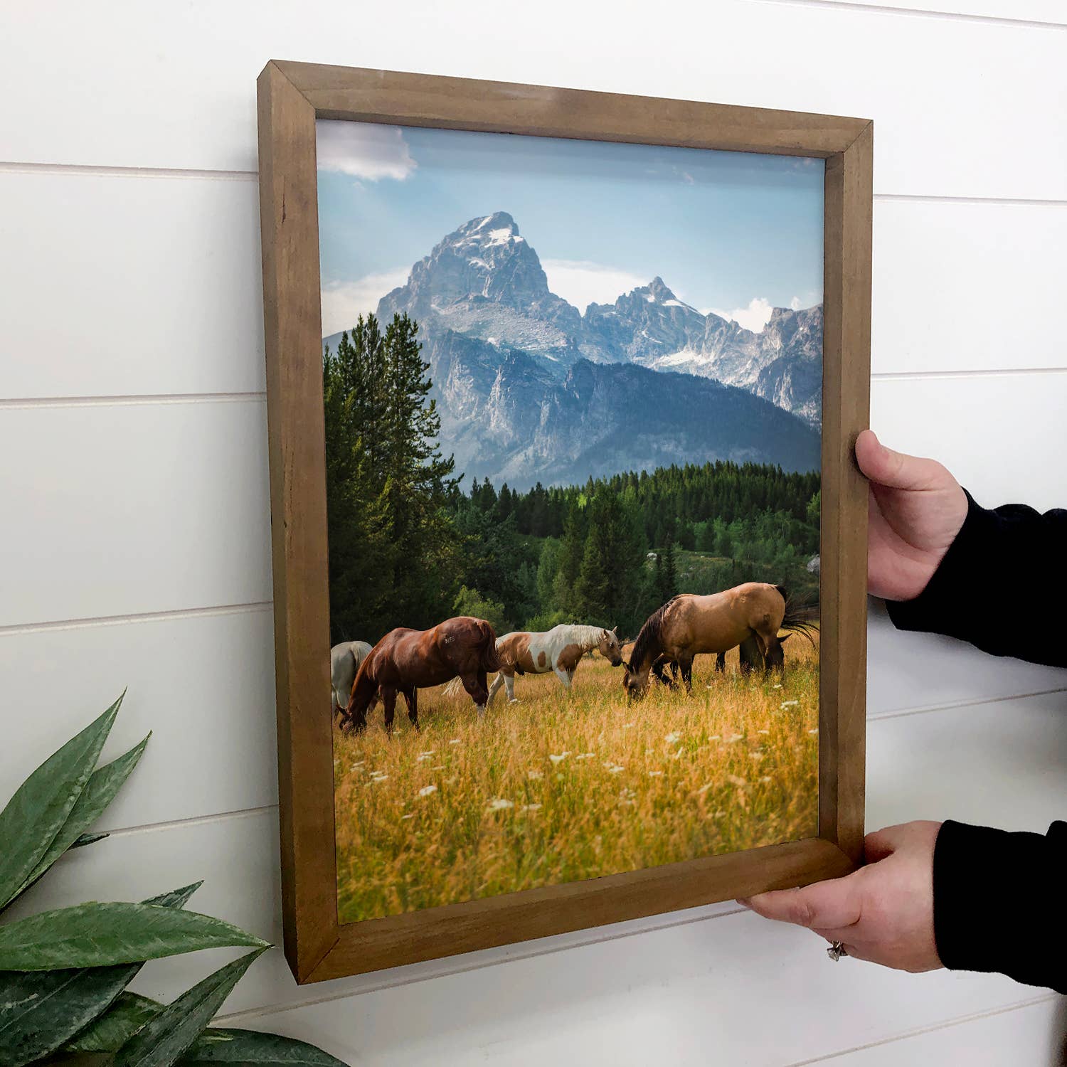 Horses at Tetons - Wildlife Photography - Wood Framed Decor