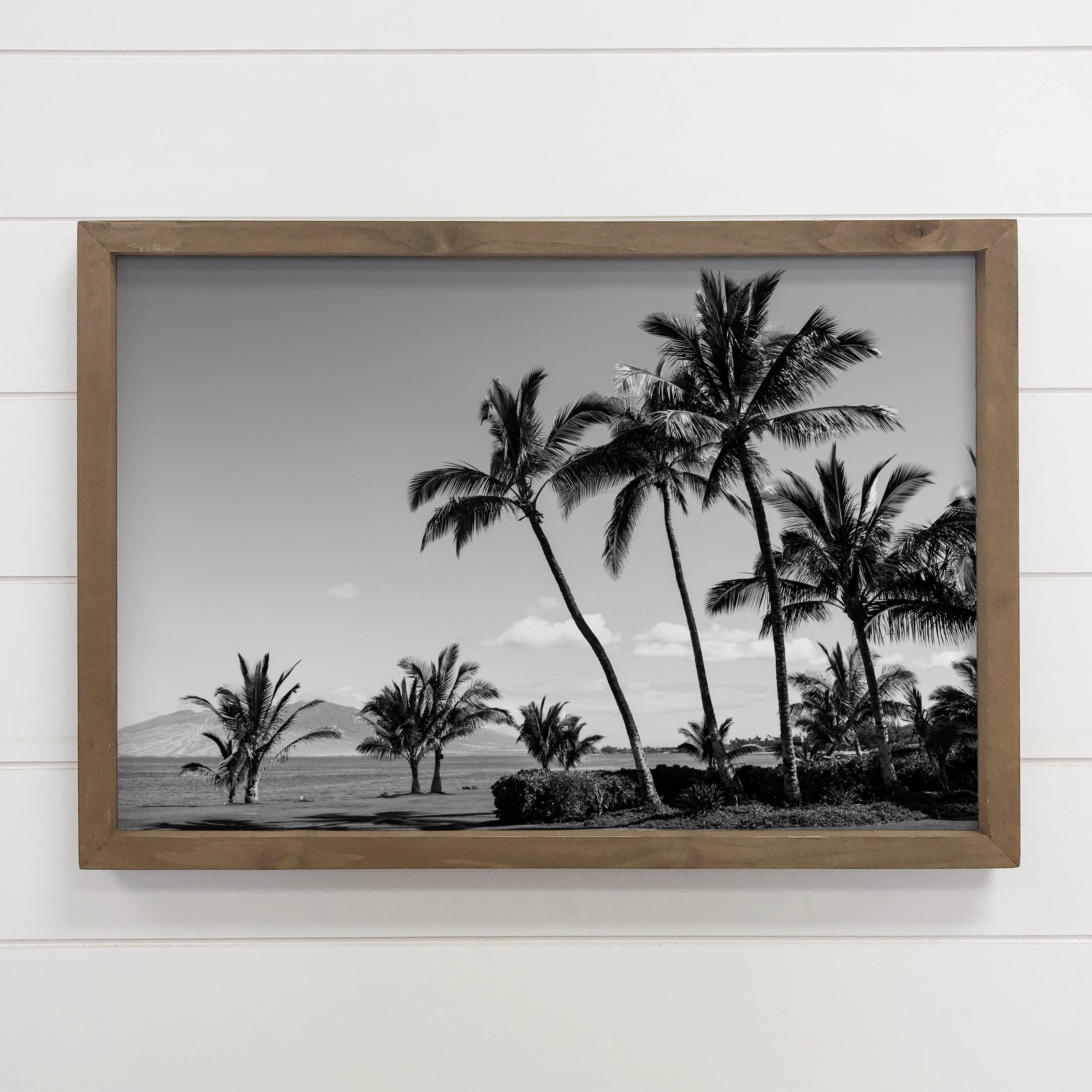 Black & White Palm Trees - Framed Nature Photograph