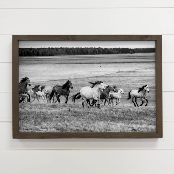 Wild Horses on the Run - Animal Photography - Wood Framed