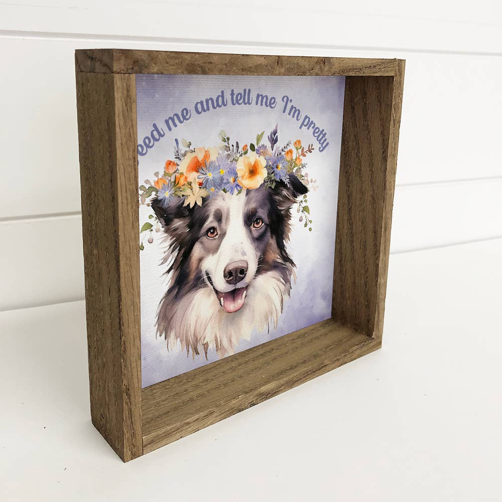 Border Collie - Feed Me & Tell Me I'm Pretty - Framed Art