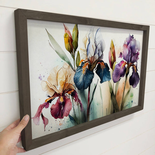 Iris Watercolor Dreams Wall Art - Floral Canvas Art - Framed