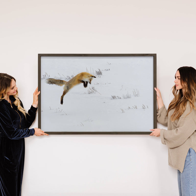 Hunting Fox I - Framed Wildlife Photograph - Cabin Wall Art