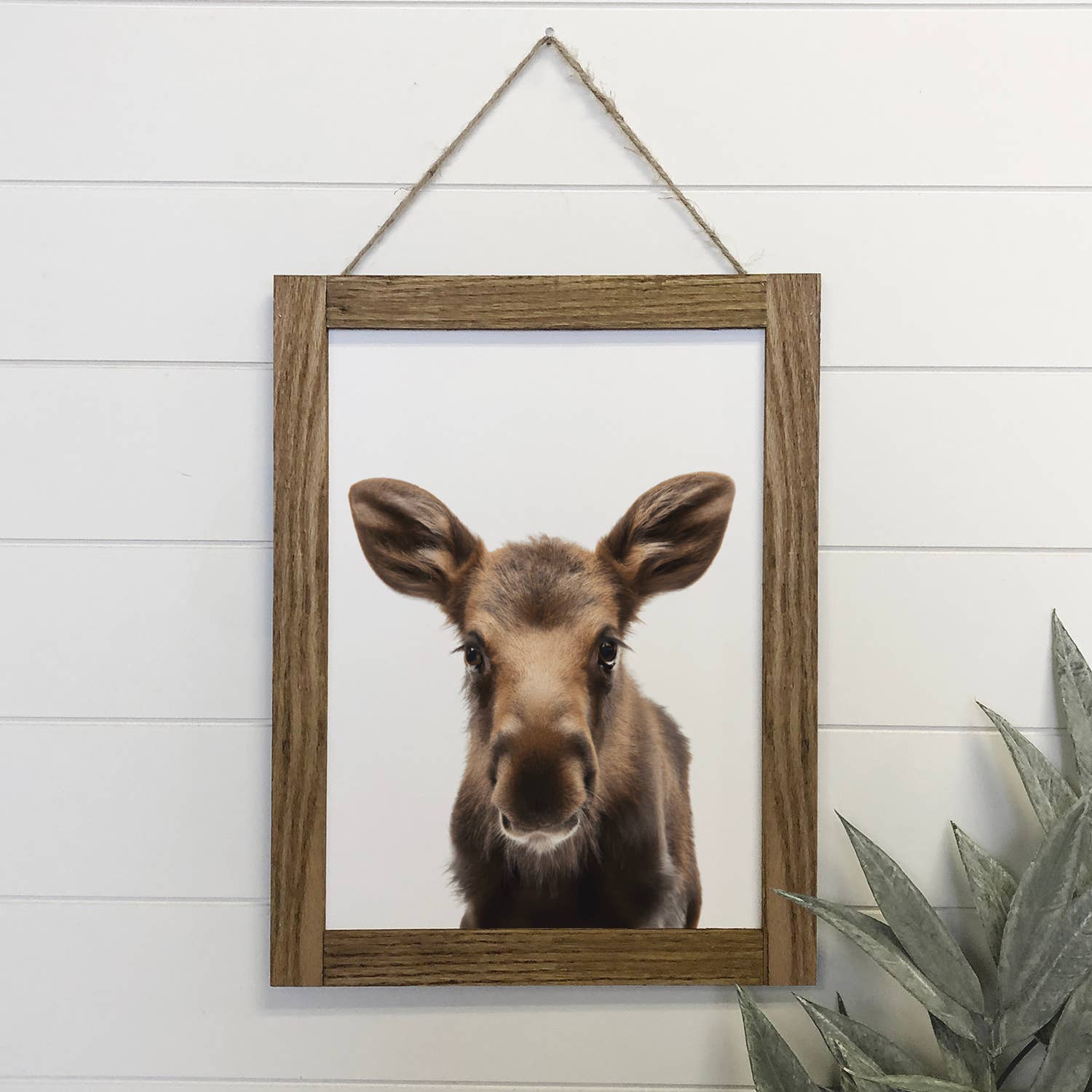 Baby Moose Wood Sign Cute Animal Wall Art