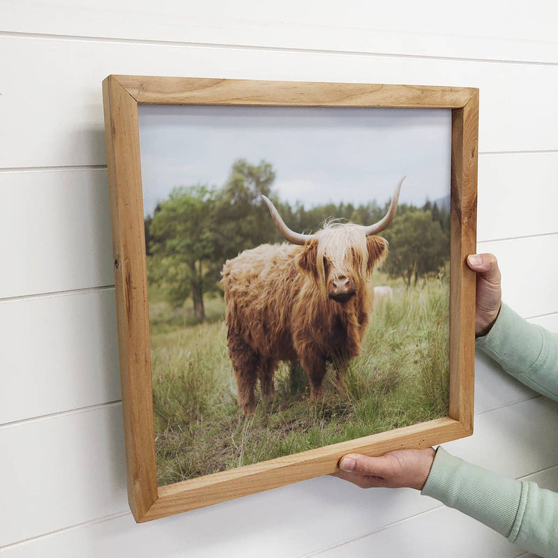 Highland Cow in Grass Small Canvas Decor