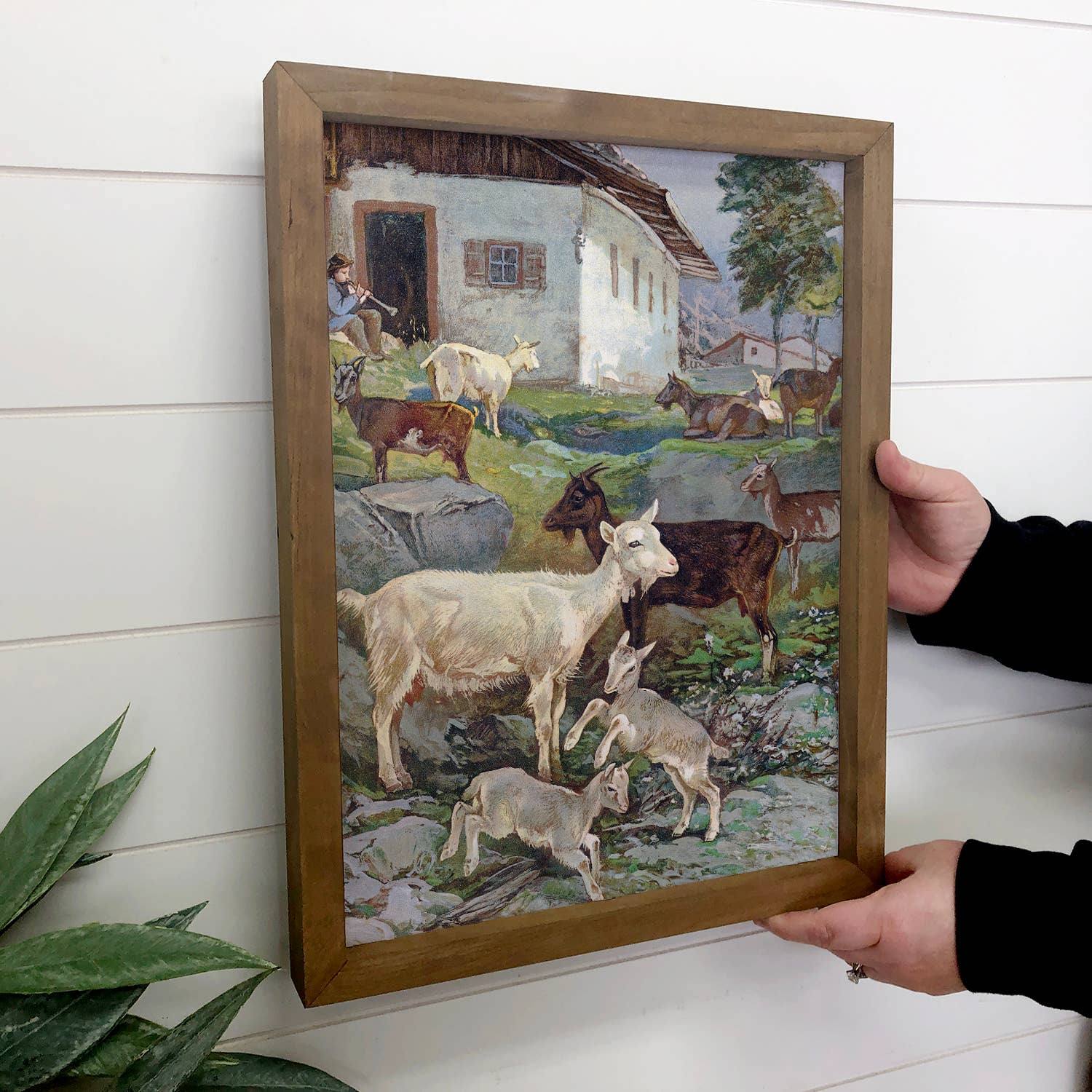 Goats and Stable Boy - Goat Canvas Art - Wood Framed Art