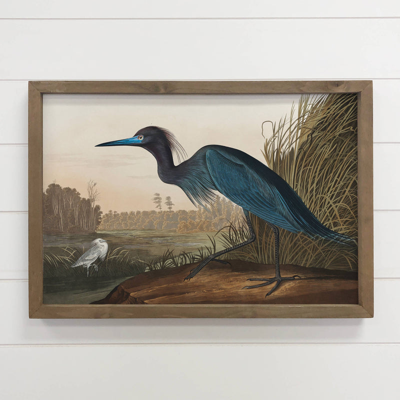 Audubon Blue Crane - Lake House Decor - Large Canvas Art