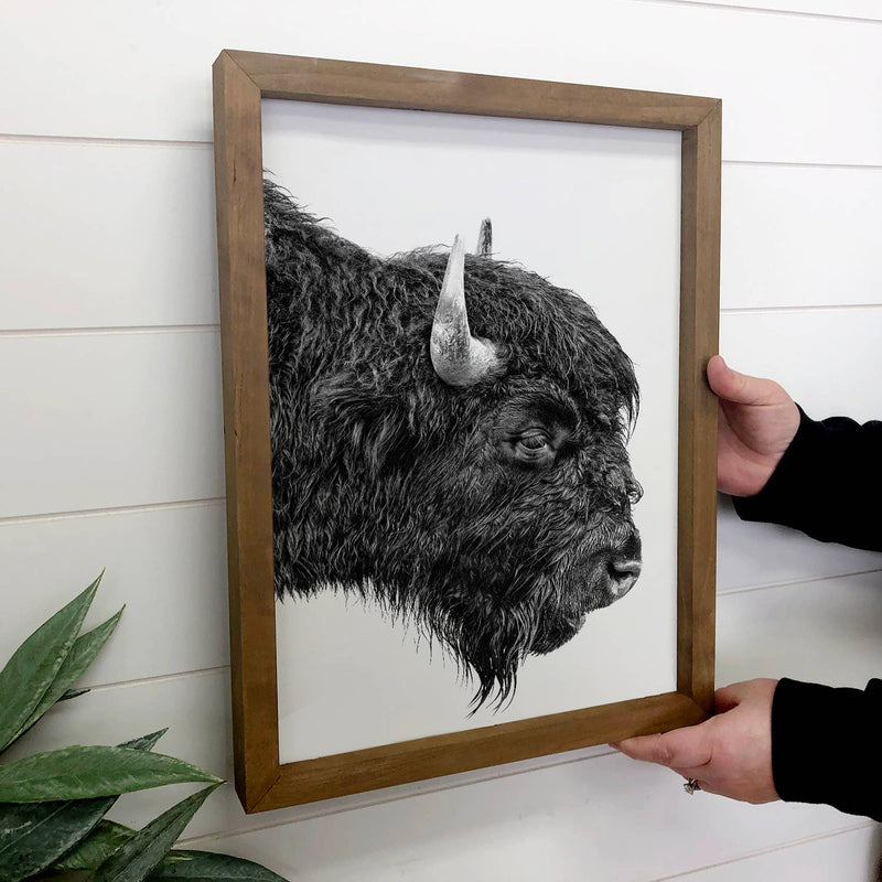 Bison Portrait - Framed Animal Photograph - Ranch House Art