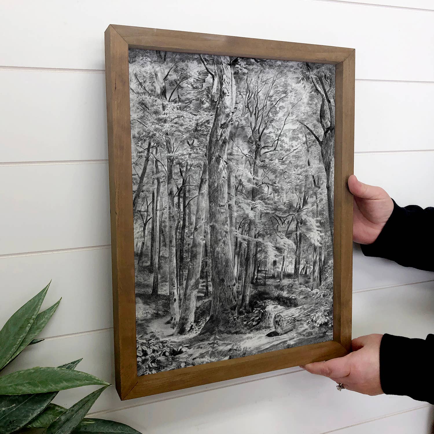 Black and White Woods - Nature Canvas Wall Art - Wood Framed